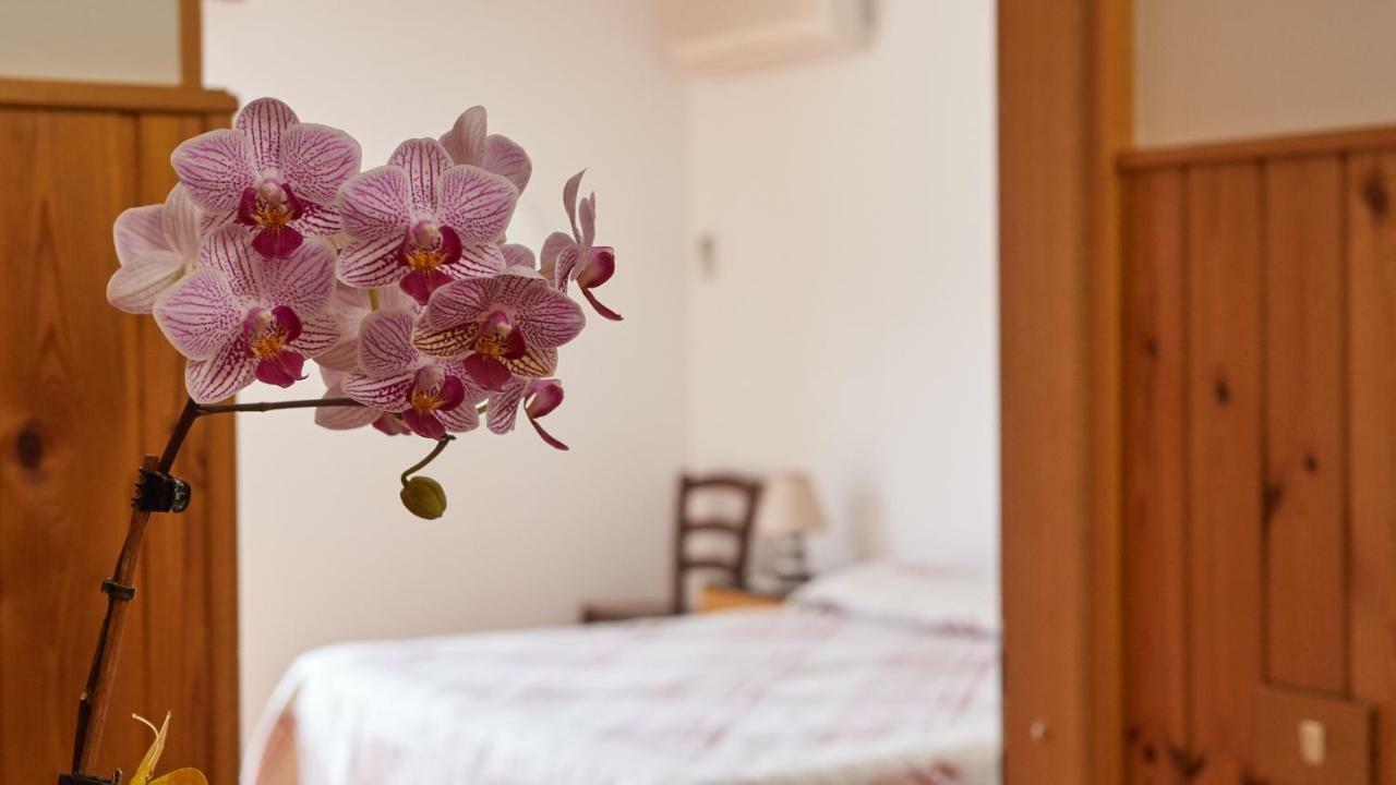 Apartment Bonetti Umag