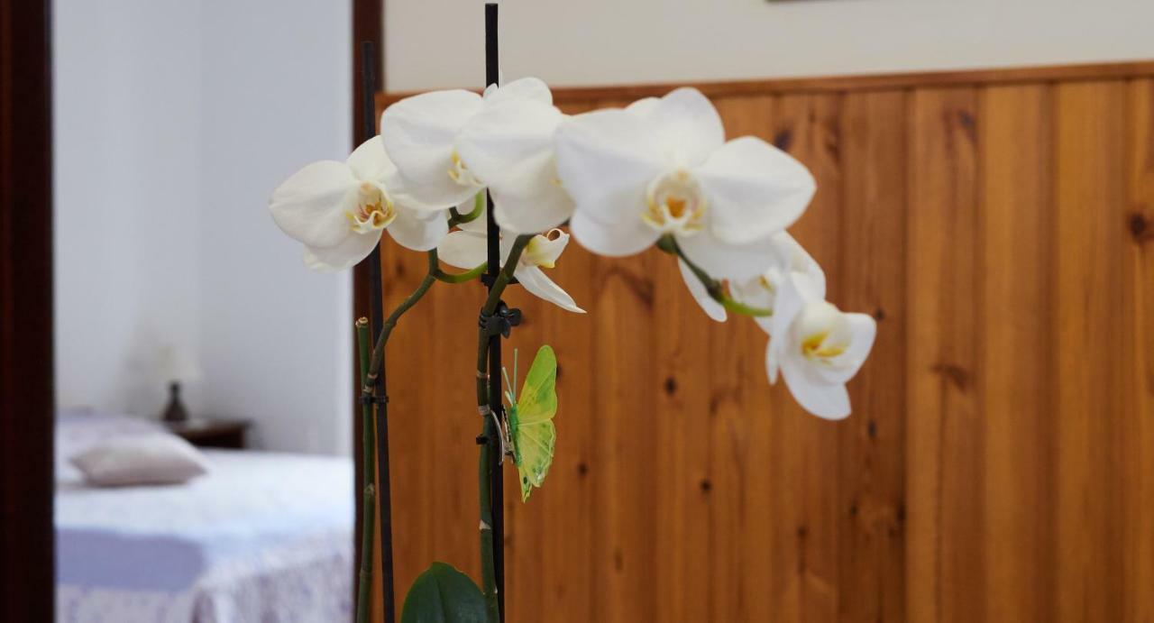 Bonetti Apartment Umag